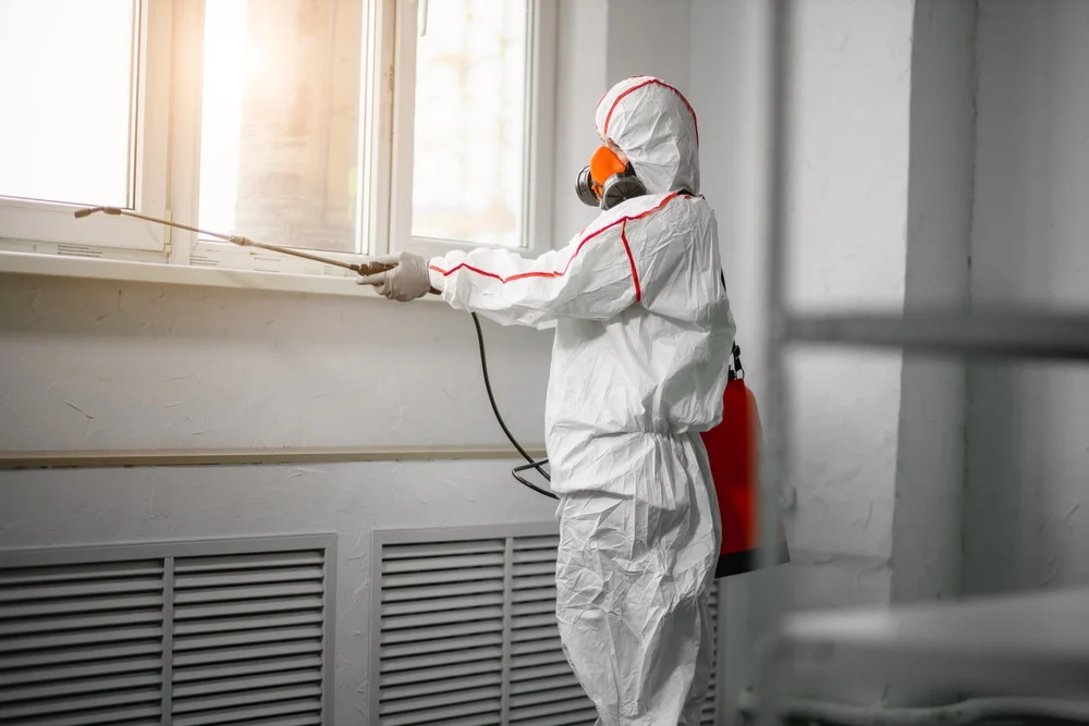 Professional mold remediation services in Maple Shade, NJ